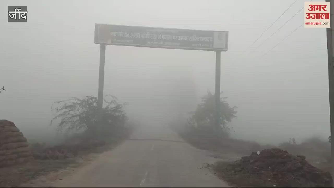 VIDEO : Heavy fog continues to wreak havoc in Jind, normal life affected