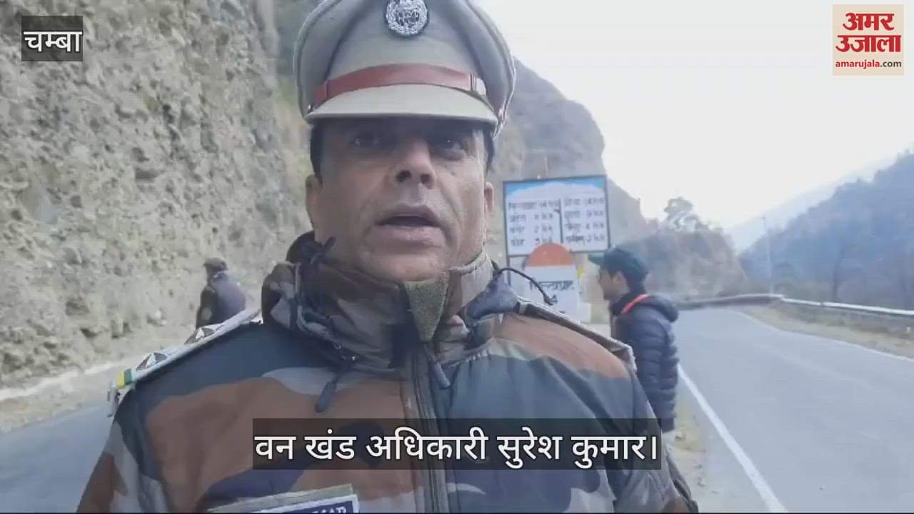 VIDEO : The forest department inspected vehicles after blocking Phulnu