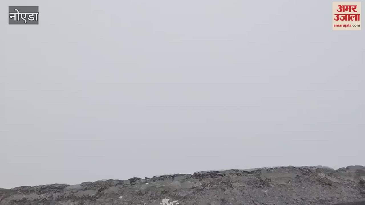 VIDEO : Dense fog was seen in Noida today