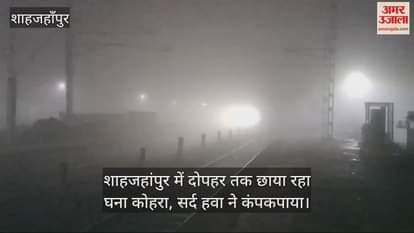 VIDEO : Dense fog prevailed in Shahjahanpur cold wind made people shiver
