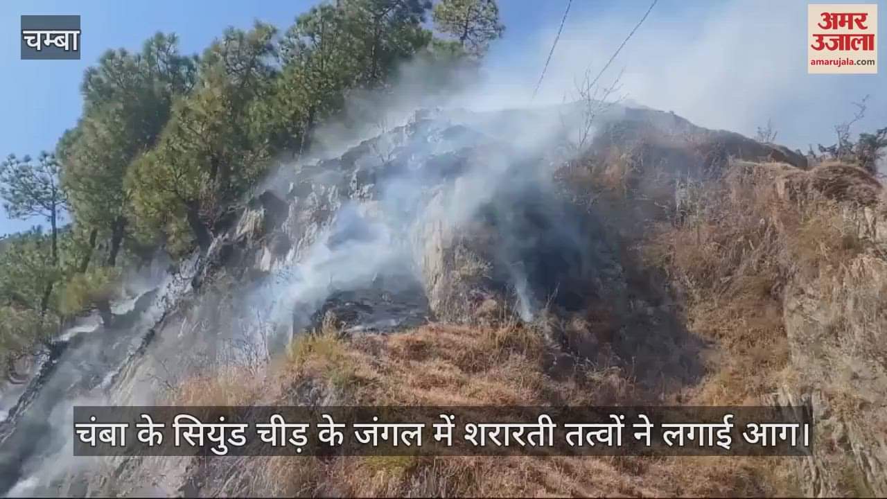 VIDEO : Miscreants set fire to Siund Pine forest in Chamba