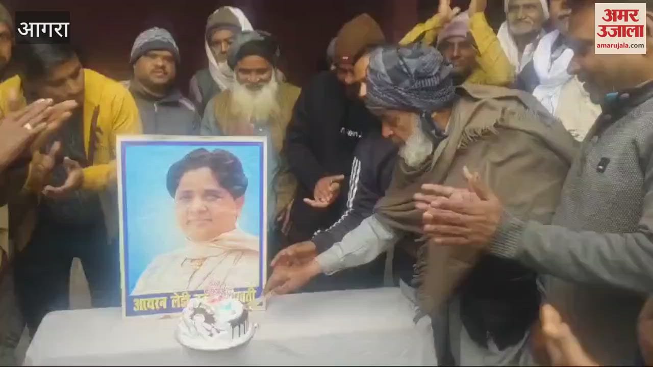 VIDEO : Supporters celebrated former Chief Minister Mayawati birthday