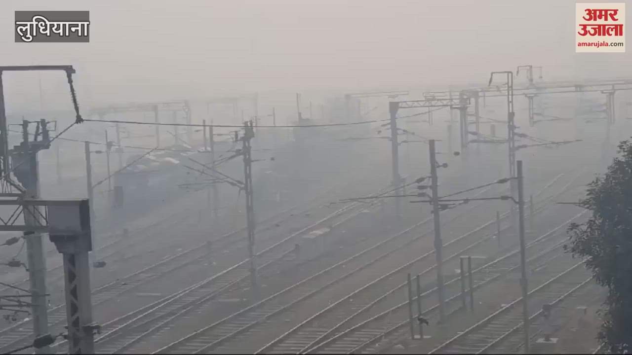 VIDEO : Fog in Ludhiana