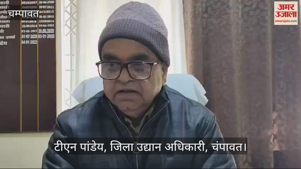 VIDEO : सिट्रस फलों का मूल्य तय,  दाम बढ़े; काश्तकारों को मिलेगी राहत