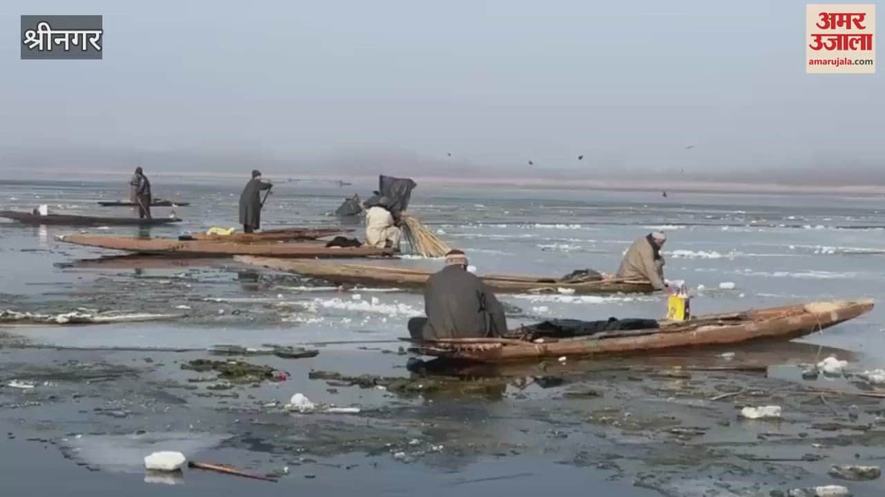 VIDEO : Kashmiri fishermen catch fish by cutting ice in Anchar Lake.