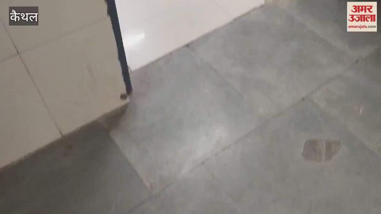 VIDEO : 25-year-old youth injured in firing in Pai village of Kaithal, bullet fired in mutual dispute