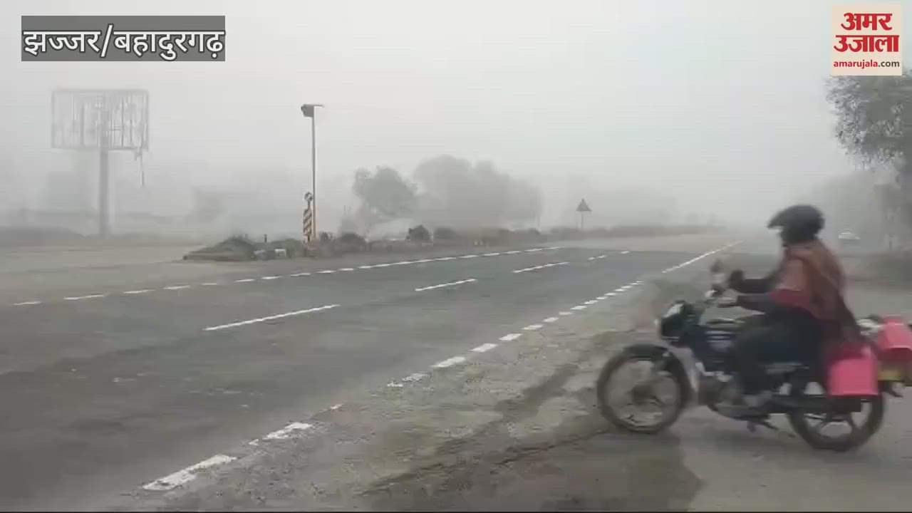 VIDEO : Fog in Jhajjar