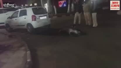 VIDEO : Scuffle with policemen in Chandigarh police station, NRI says he was hit with a stick on his private parts