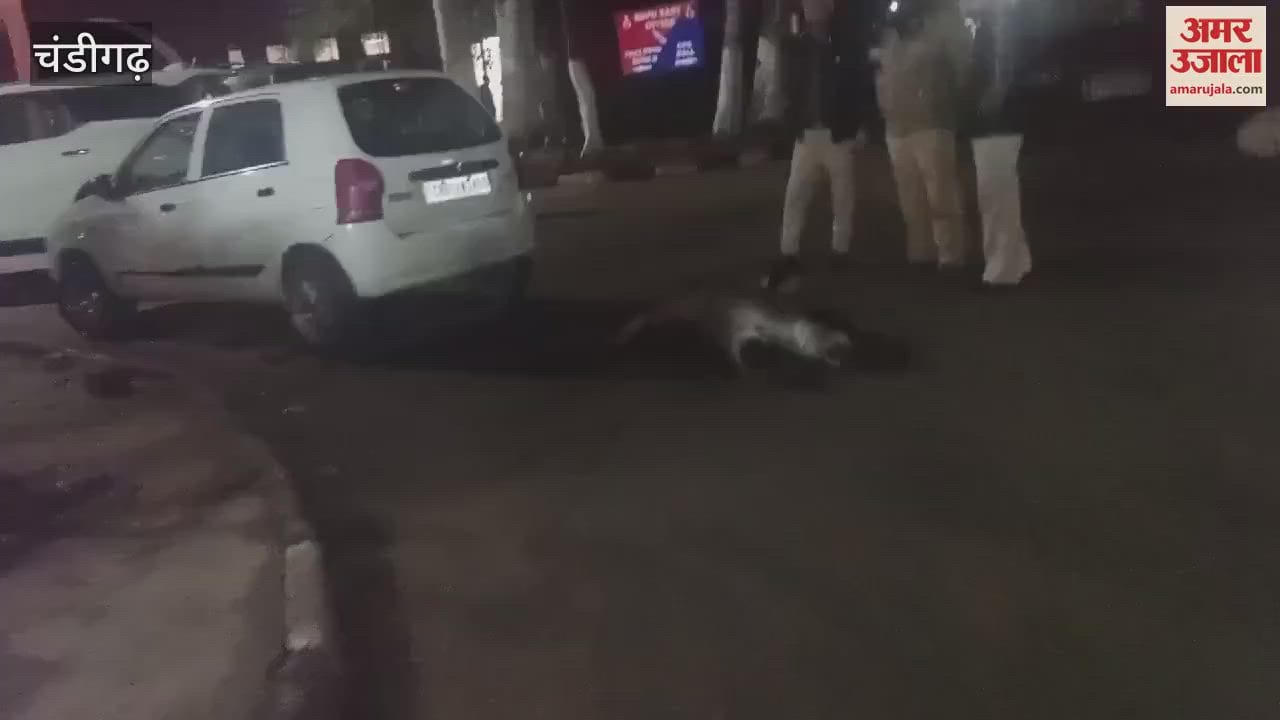 VIDEO : Scuffle with policemen in Chandigarh police station, NRI says he was hit with a stick on his private parts