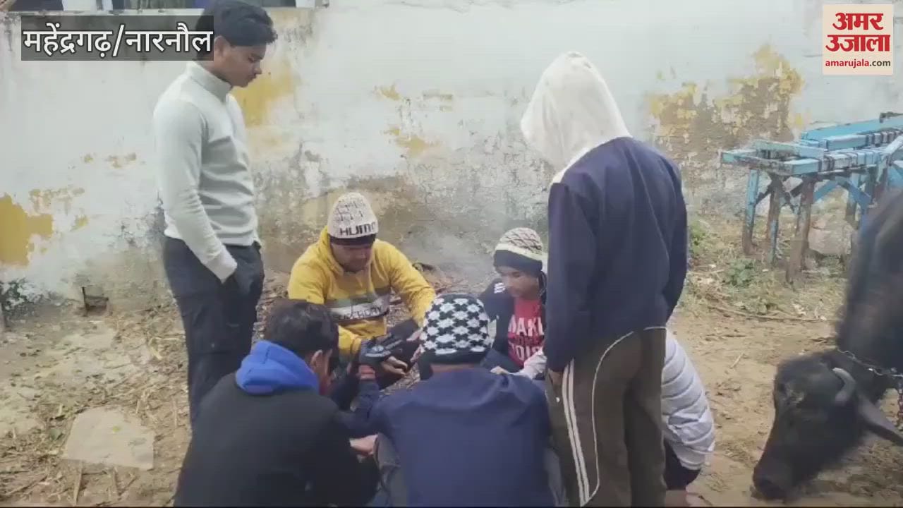 VIDEO : cold wave in Mahendragarh