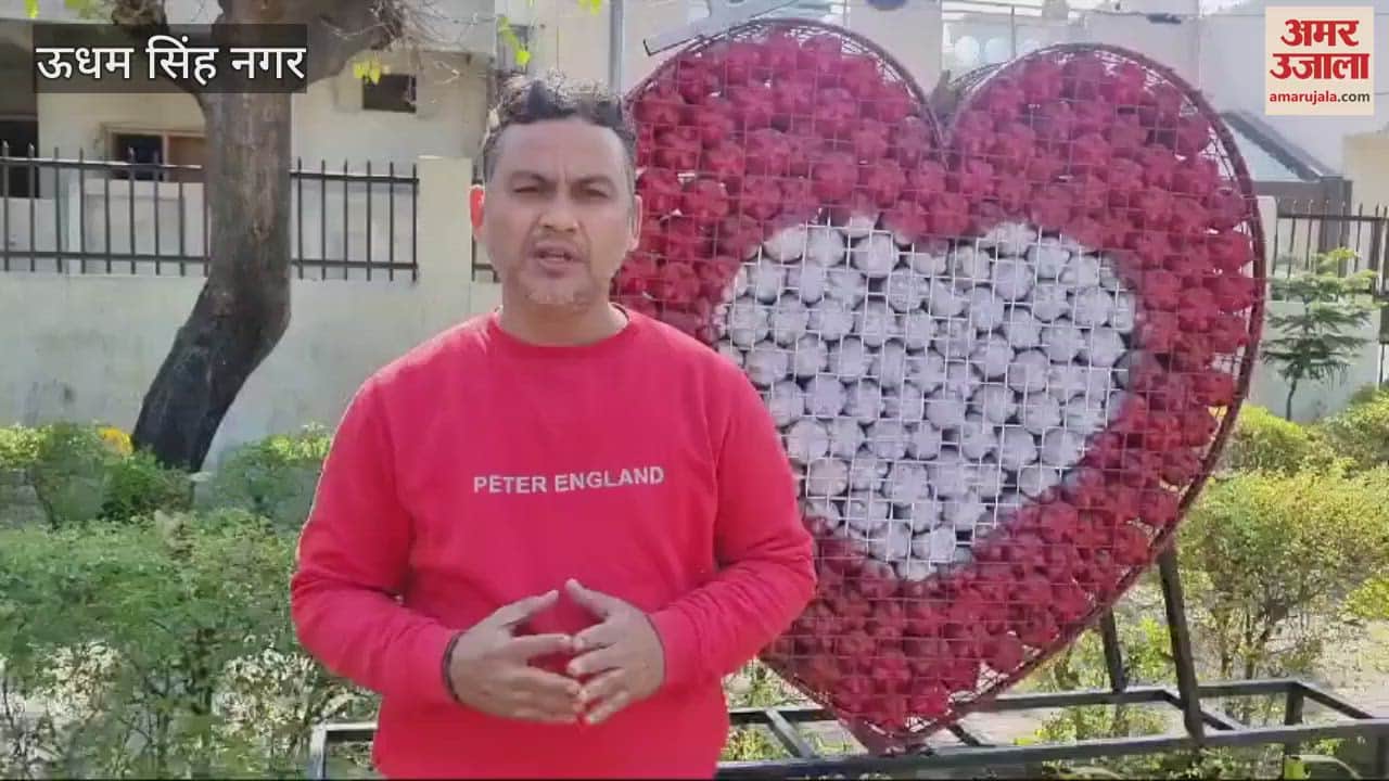 VIDEO : दिल्ली की तर्ज पर विवेकानंद पार्क को बनाया वेस्ट वंडर पार्क, पांच और पार्क होंगे तैयार