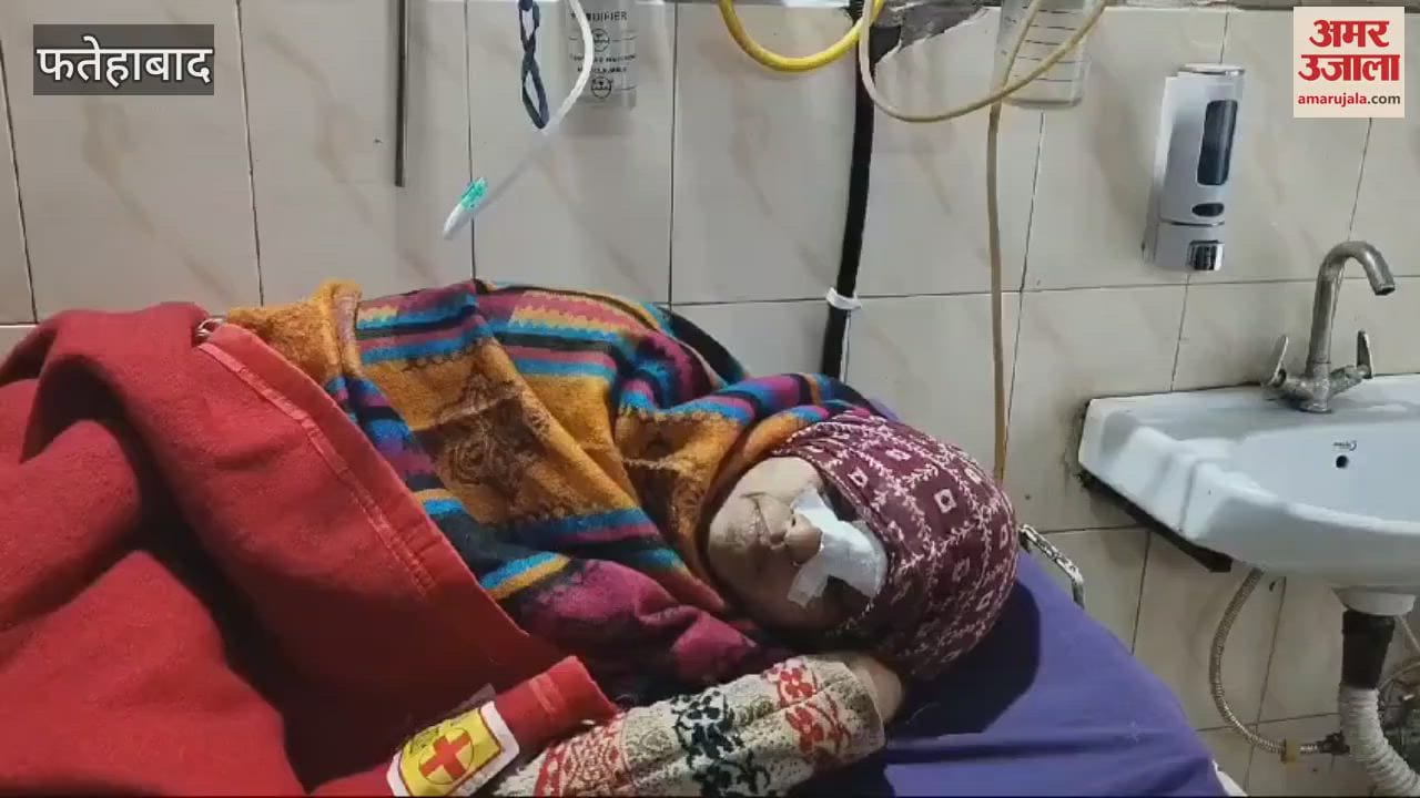VIDEO : jackal attack in Fatehabad
