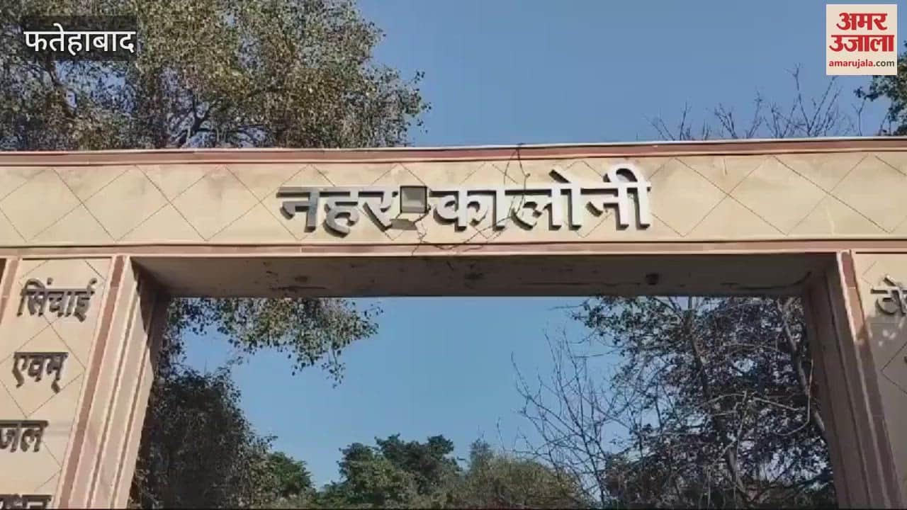 VIDEO : HKRN employees removed from Tohana's canal department staged a protest