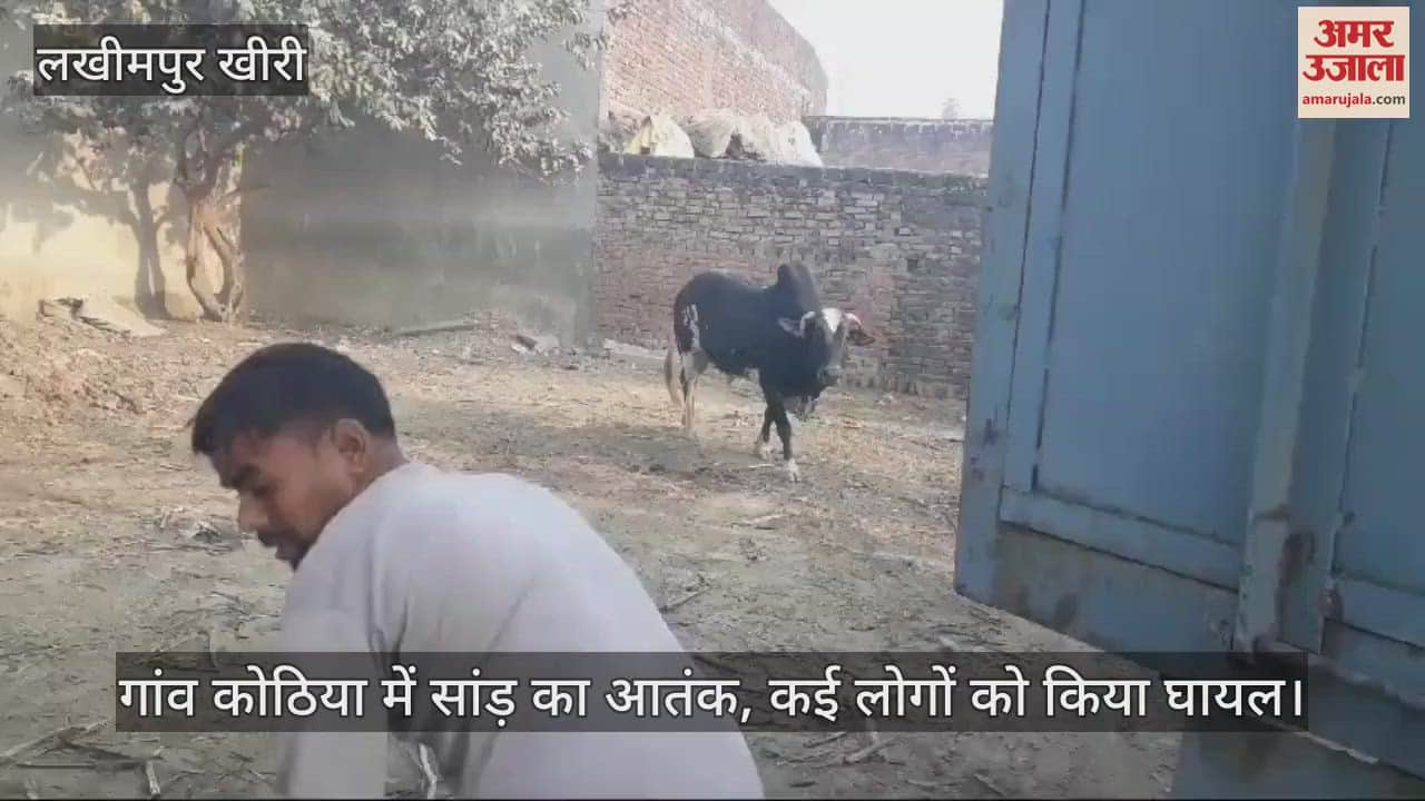 VIDEO : bull attacked and injured many people in Lakhimpur Kheri
