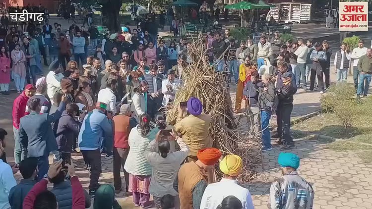 Video : Lohri At Student Centre, Punjab University, Chandigarh – Amar Ujala Hindi News Live