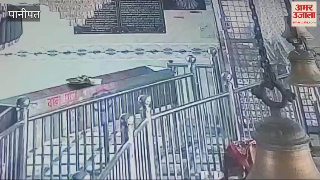 VIDEO : Theft in Shyam Mandir Chulkana Dham in Panipat