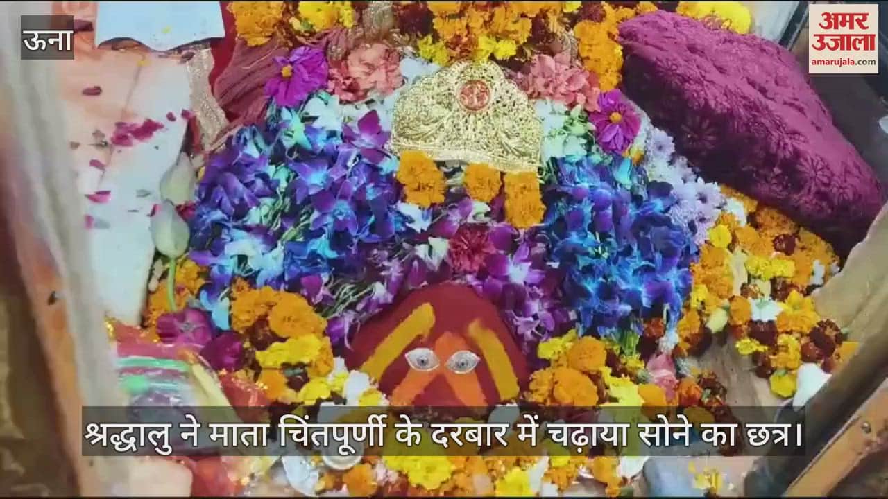 VIDEO : devotee offered a golden umbrella in the court of Mata Chintapurni