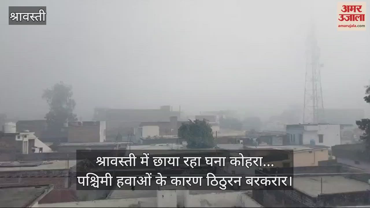 VIDEO : श्रावस्ती में छाया रहा घना कोहरा... पश्चिमी हवाओं के कारण ठिठुरन बरकरार