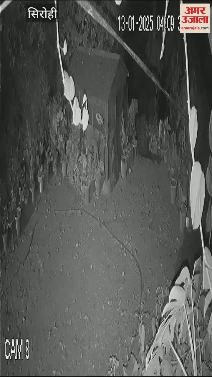 Sirohi News: Leopard entered the hotel in search of prey, tried to kill the dog kept in the cage