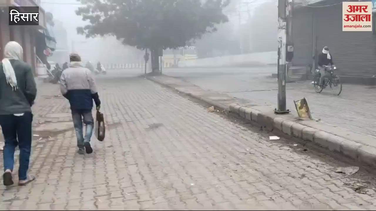 VIDEO : Fog in Hisar
