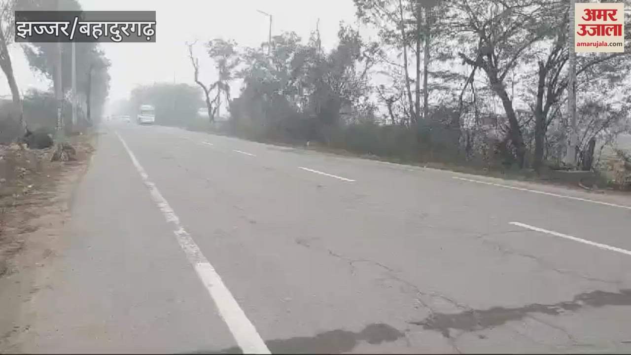 VIDEO : cold wave in jhajjar