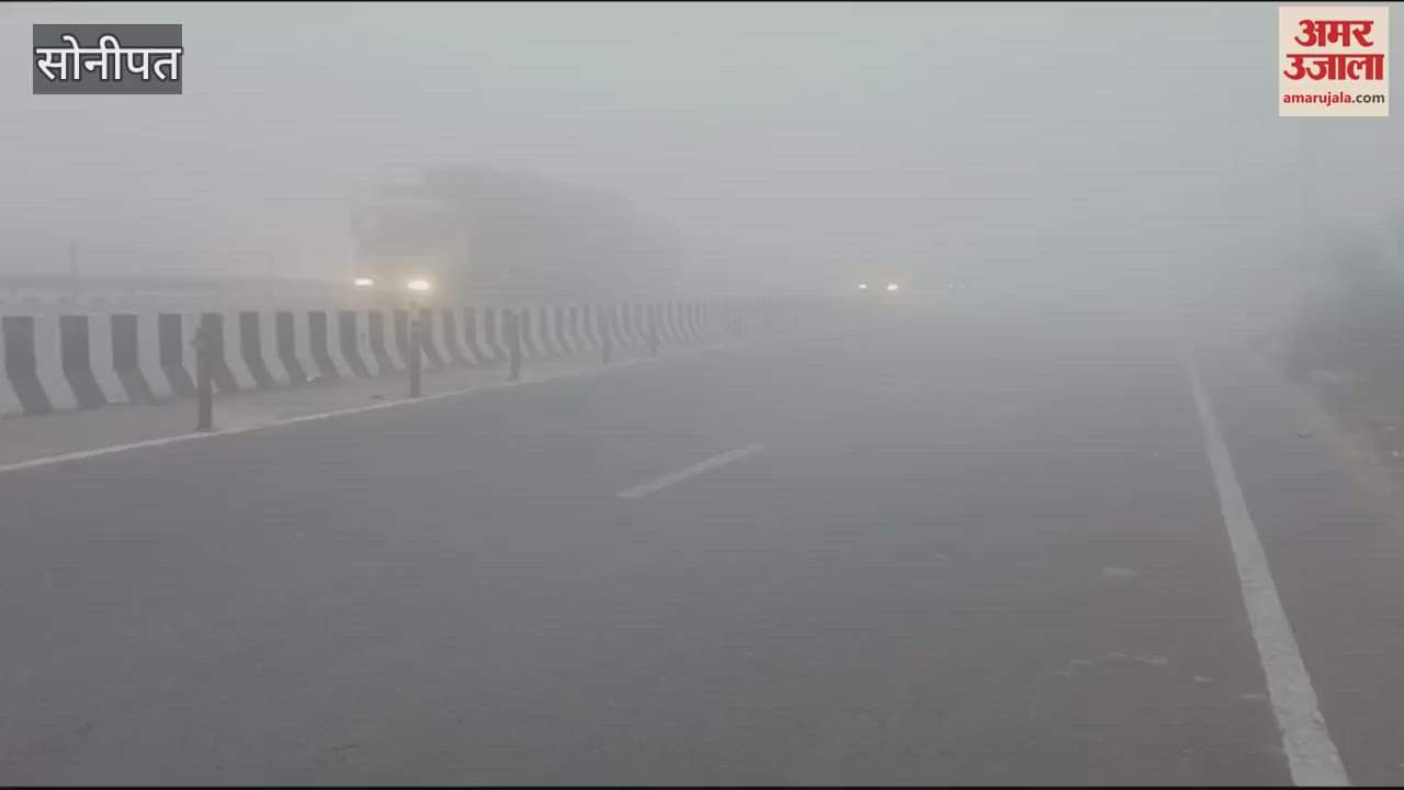VIDEO : Fog in Sonipat