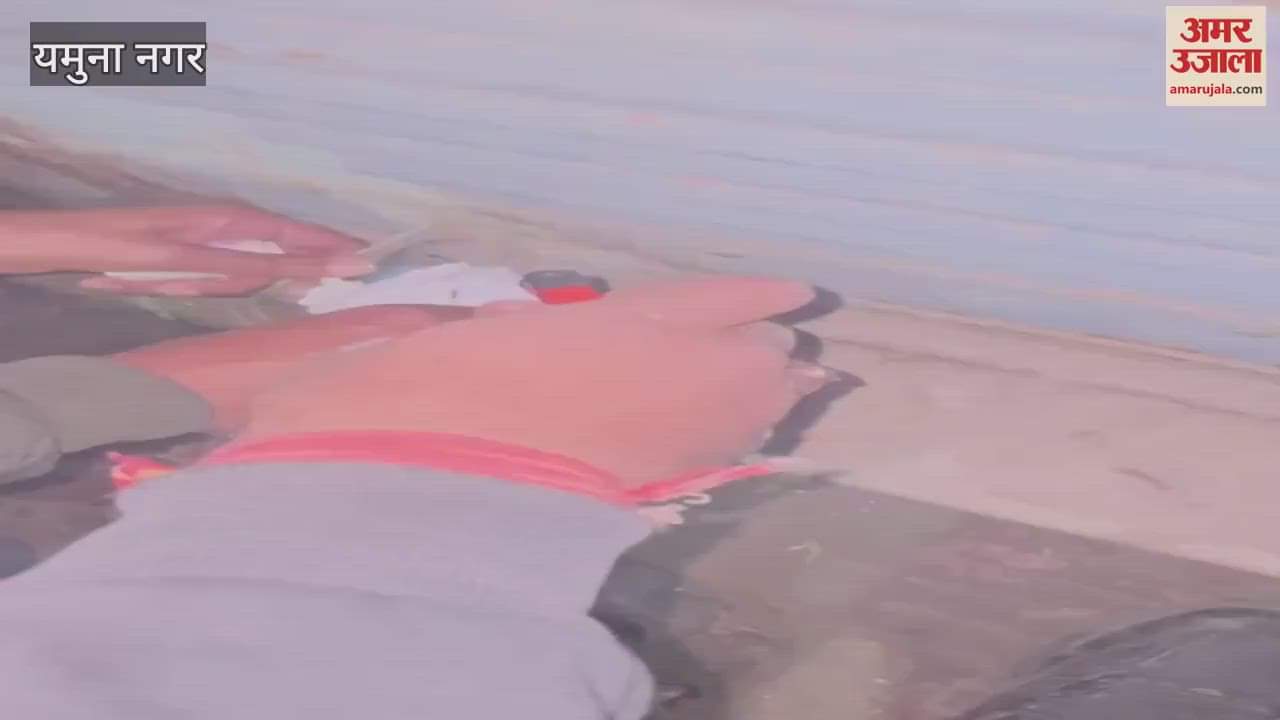 VIDEO : यमुनानगर में प्रॉपर्टी टैक्स डिफॉल्टरों पर निगम की कार्रवाई, चार प्रॉपर्टी सील