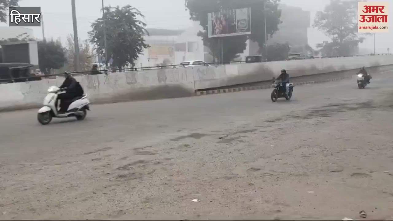 VIDEO : Fog in Hisar