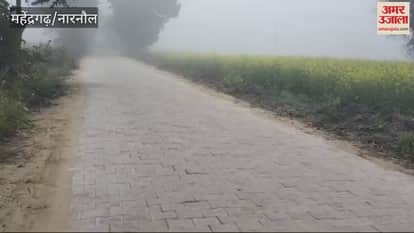 VIDEO : Fog in mahendragarh