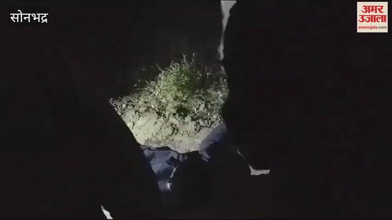 VIDEO : Second encounter in Sonbhadra two criminals arrested robbery case cash and pistol recovered