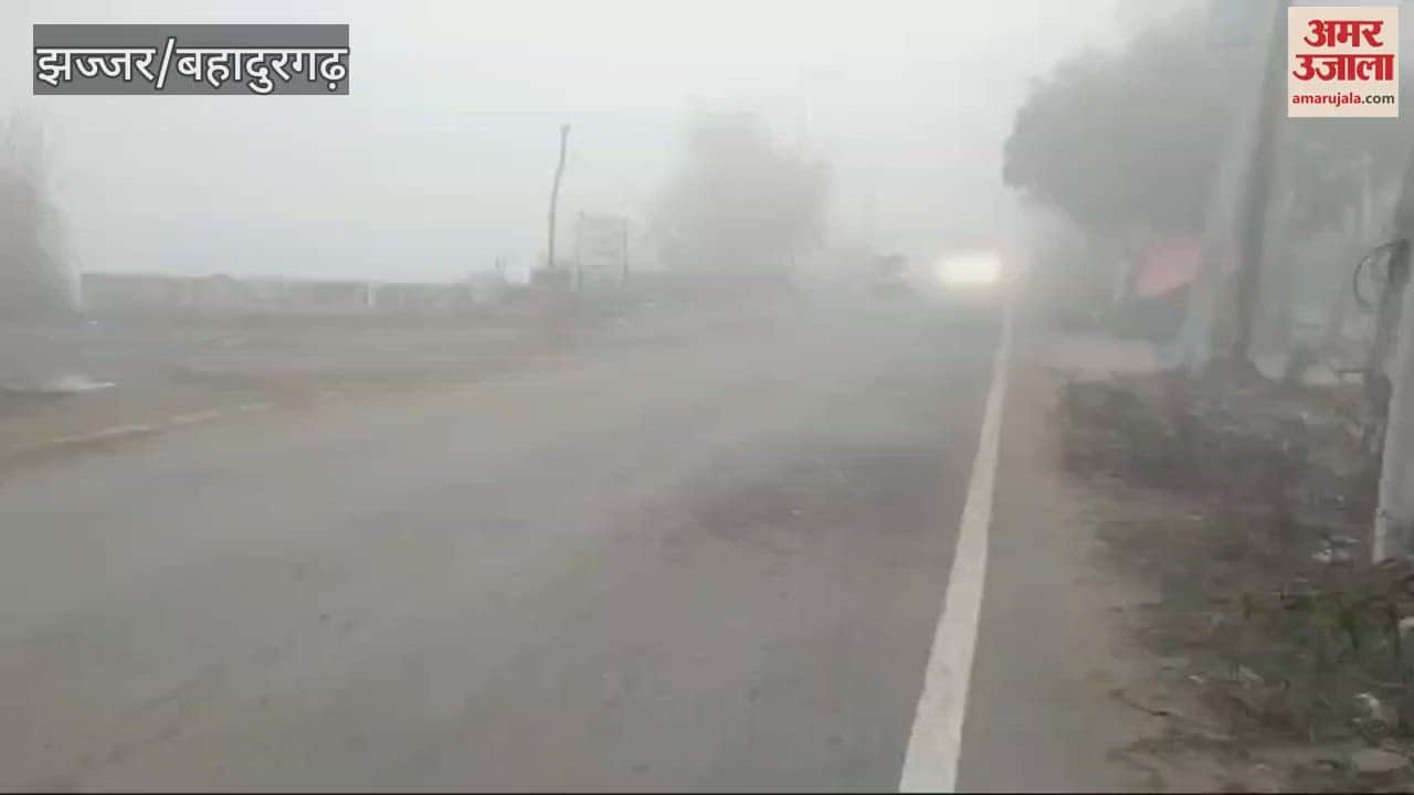 VIDEO : Fog in Jhajjar