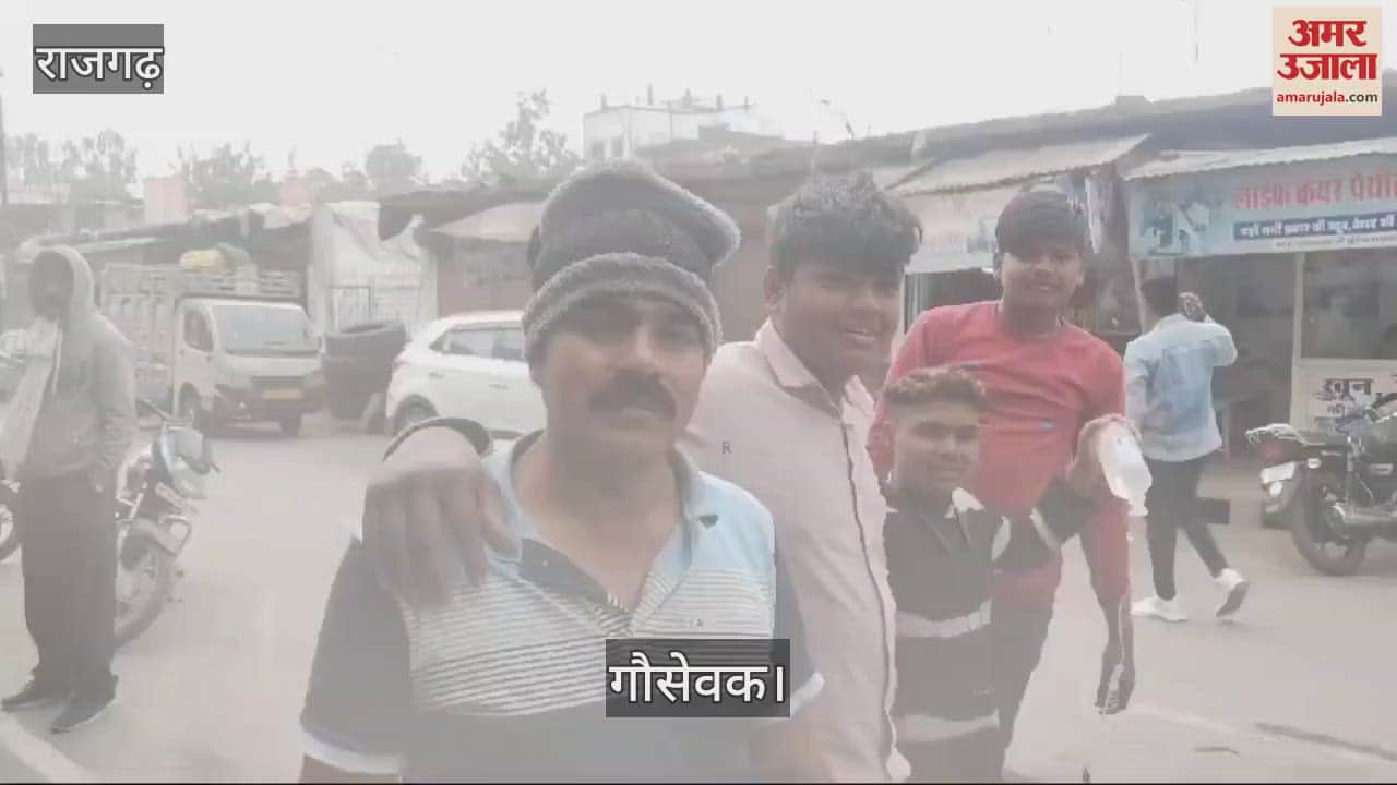 Cow servants become angels for the cow and its calf, know how