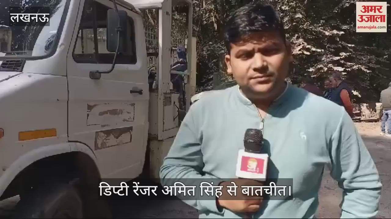VIDEO : Lucknow: रेस्क्यू के लिए जा रहे डिप्टी रेंजर की कार पलटी, बाघ के अचानक सामने आ जाने से हुआ हादसा