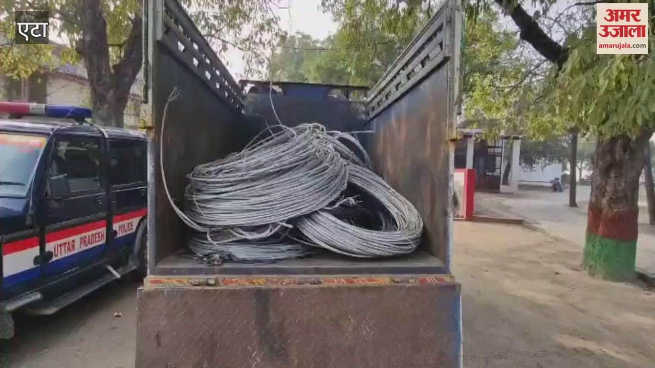 VIDEO : Police caught the gang stealing electricity wires