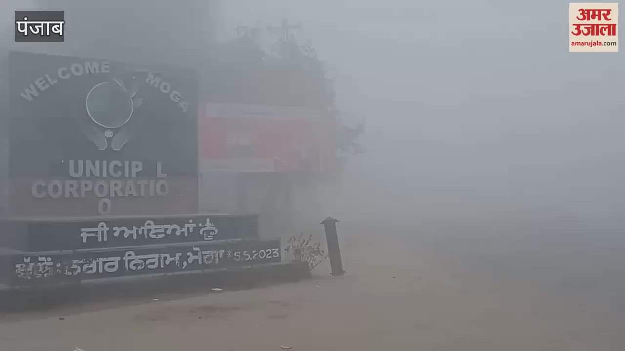 VIDEO : Fog in Moga
