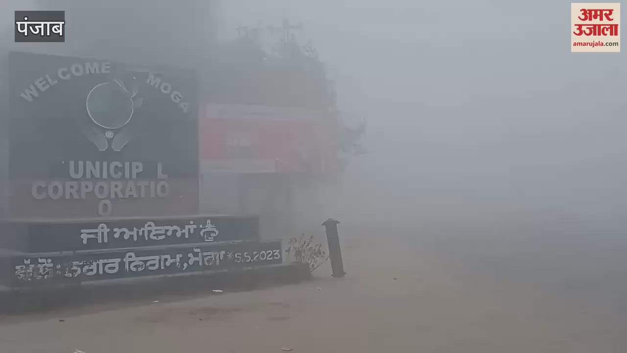 VIDEO : Fog in Moga