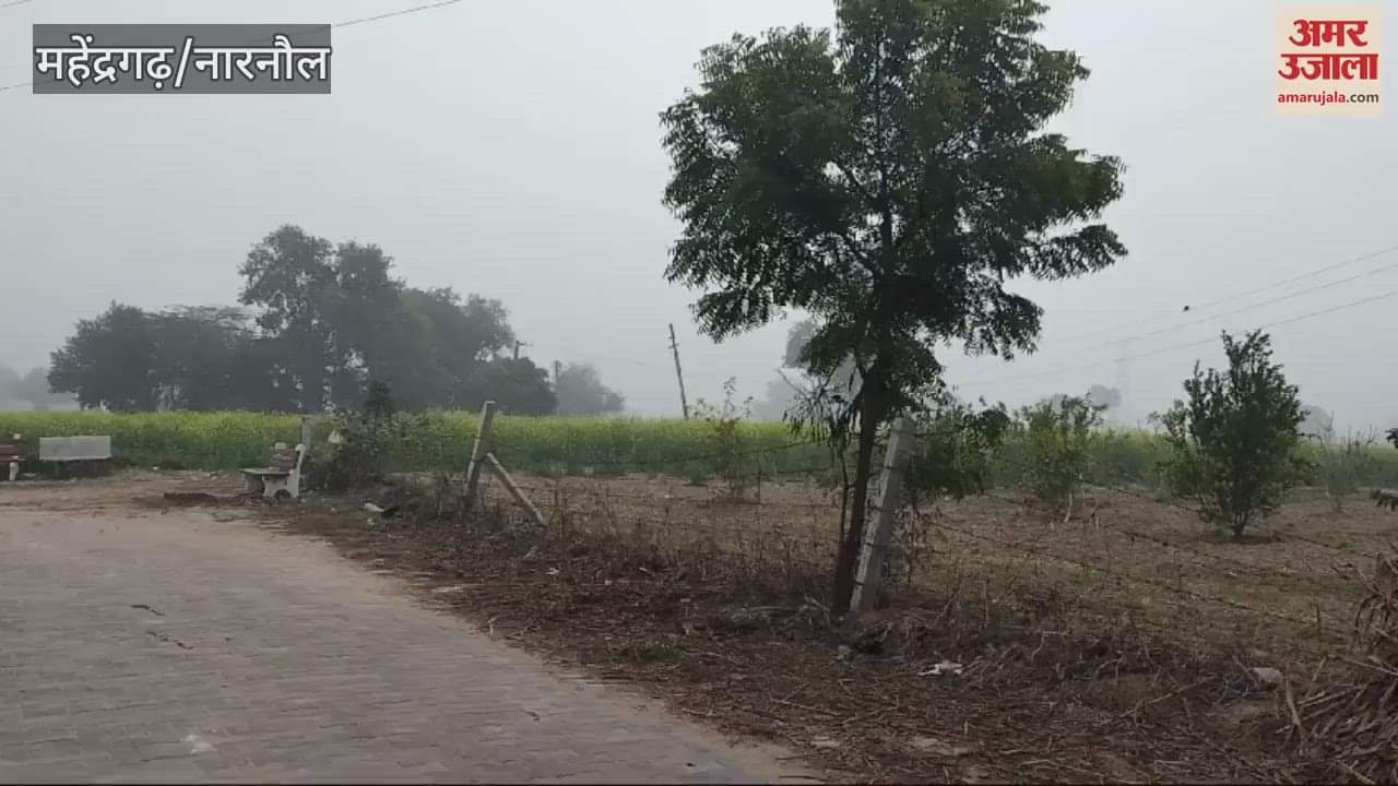VIDEO : cold wave in Mahendragarh
