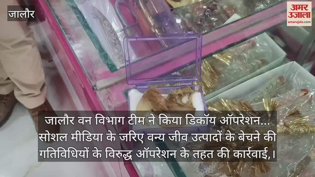 Jalore News: Lion's nails, elephant teeth recovered in Forest Department's Operation Decoy