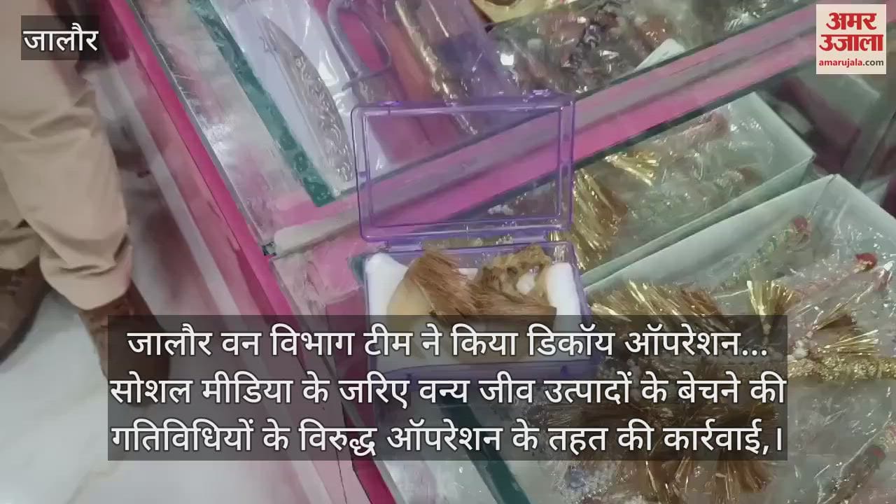 Jalore News: Lion's nails, elephant teeth recovered in Forest Department's Operation Decoy