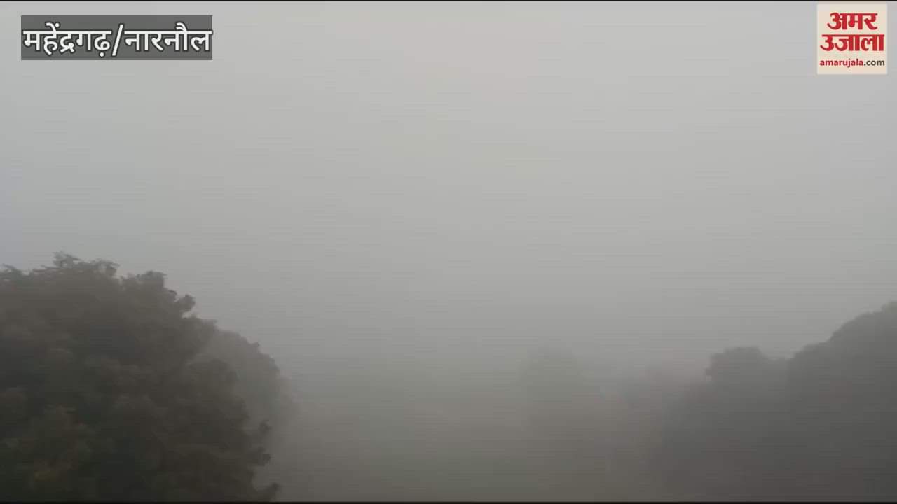 VIDEO : Fog in Narnaul
