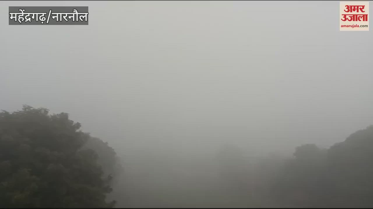 VIDEO : Fog in Narnaul