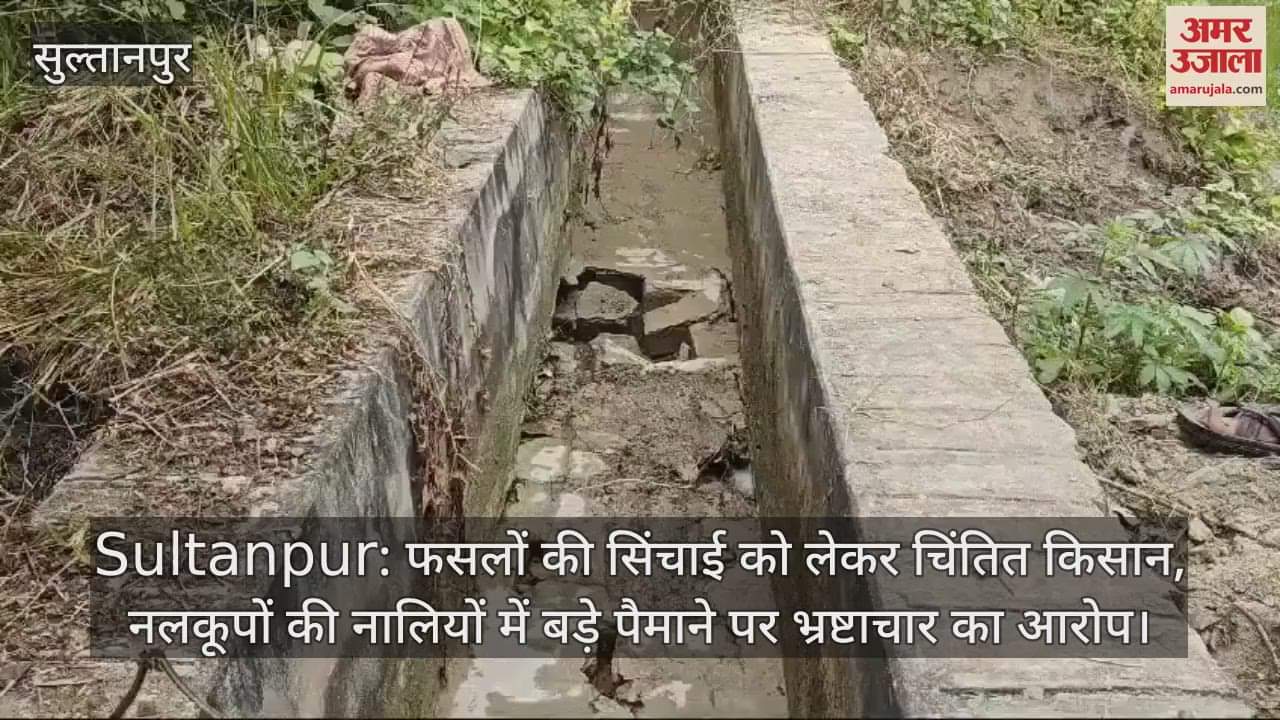 VIDEO : Sultanpur: फसलों की सिंचाई को लेकर चिंतित किसान, नलकूपों की नालियों में बड़े पैमाने पर भ्रष्टाचार का आरोप