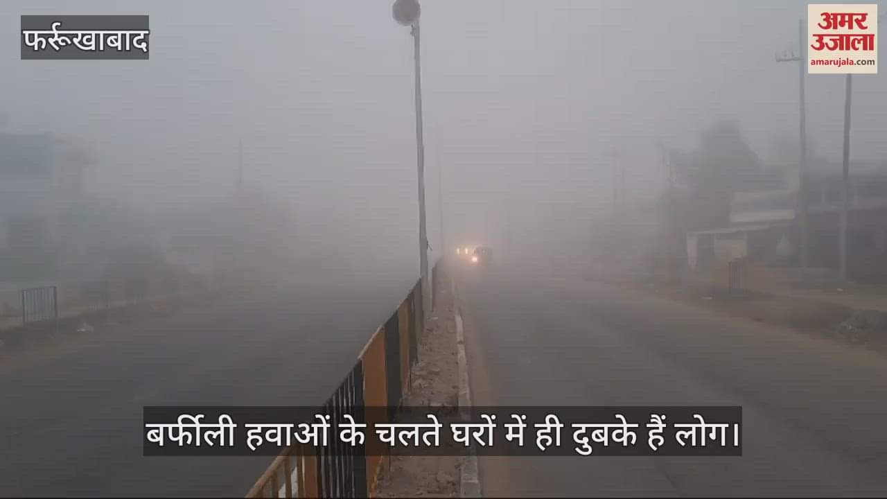 VIDEO : फर्रुखाबाद में तेज गरज संग बरसे बदरा, आलू व सरसों को रोग लगने की आशंका, किसानों के माथे पर चिंता की लकीरें