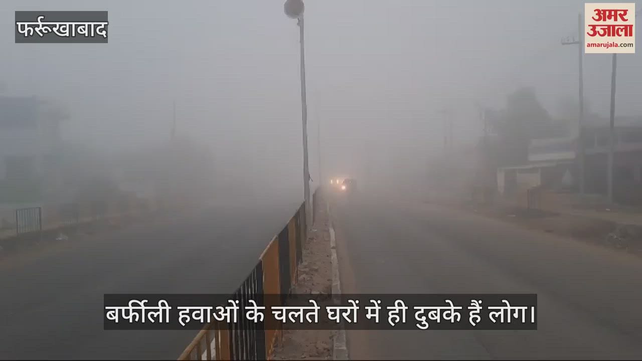 VIDEO : फर्रुखाबाद में तेज गरज संग बरसे बदरा, आलू व सरसों को रोग लगने की आशंका, किसानों के माथे पर चिंता की लकीरें