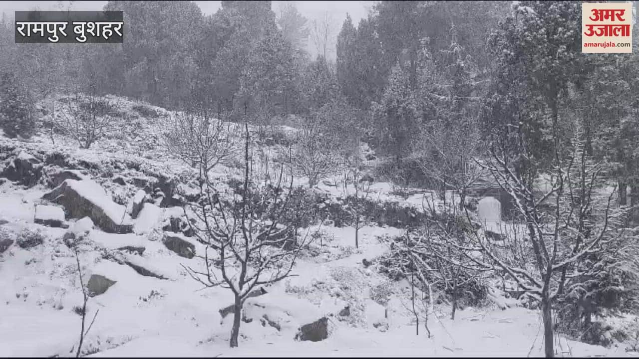 VIDEO : Heavy snowfall in Kinnaur three HRTC buses stranded temperature drops