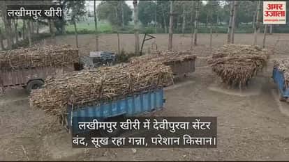 VIDEO : farmers sugarcane drying up due to devipurwa center closed in Lakhimpur Kheri