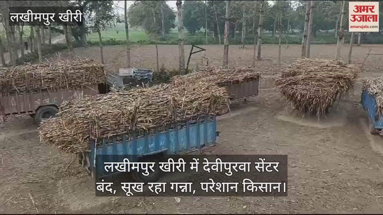VIDEO : farmers sugarcane drying up due to devipurwa center closed in Lakhimpur Kheri