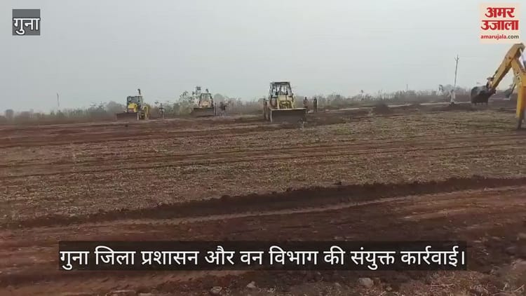 In Guna Forest Department Freed 900 Bighas Of Land From Encroachers ...