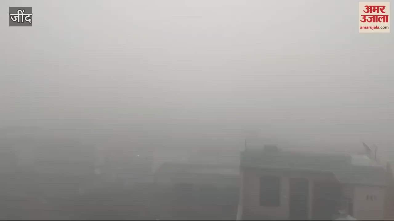 VIDEO : Cold wave in Jind