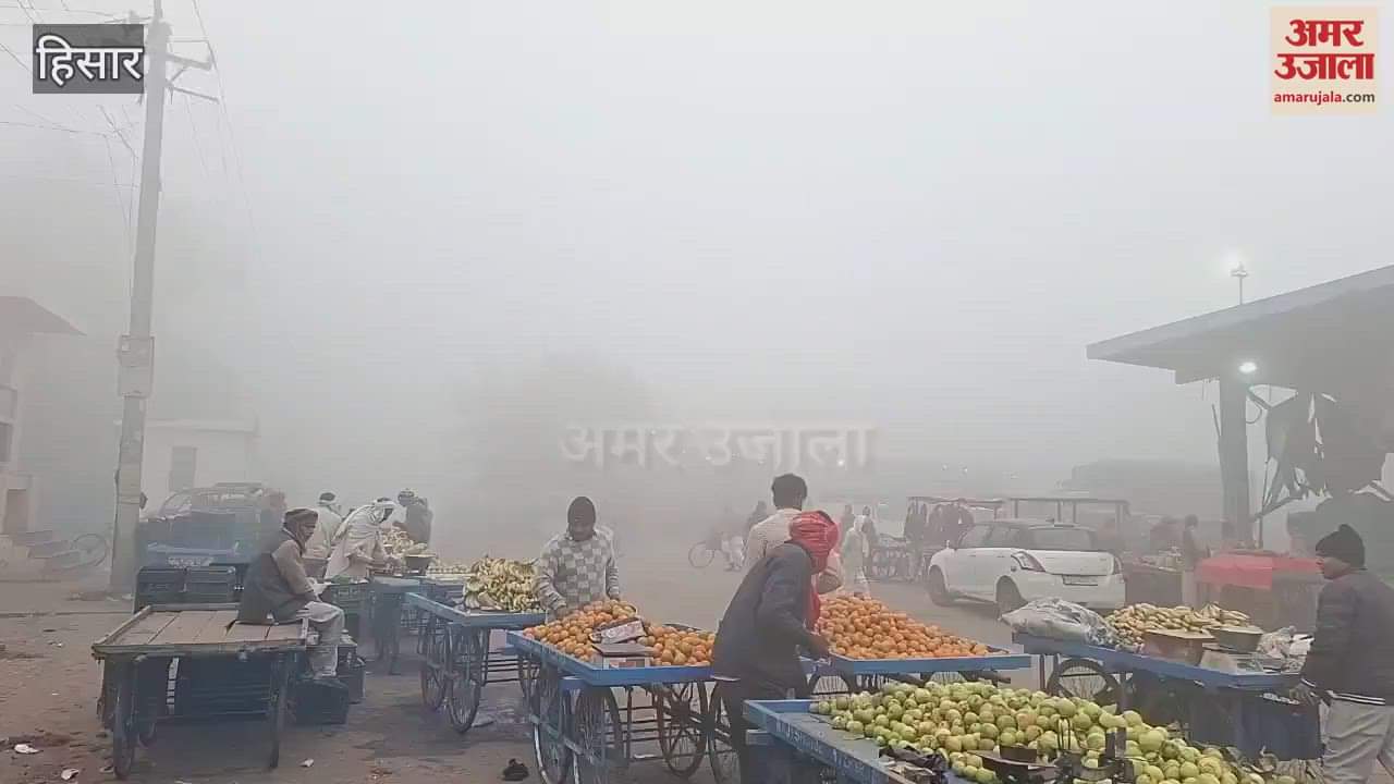 VIDEO : Fog and cold wave in hisar